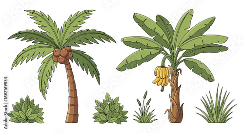 Tropical palm and banana tree collection with green bushes.