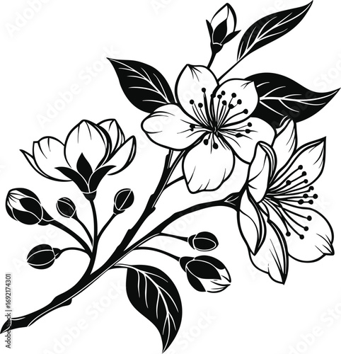 Large Bloom with Small Buds Flower Vector, Flower Cluster vector Illustration, Blooming Flower with Buds vector Design, Botanical Flower Vector Art