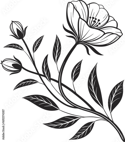 Large Bloom with Small Buds Flower Vector, Flower Cluster vector Illustration, Blooming Flower with Buds vector Design, Botanical Flower Vector Art