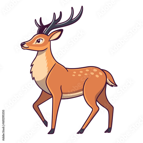 deer vector illustration