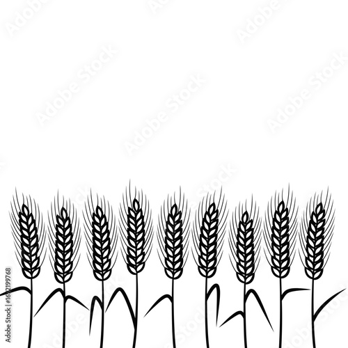 Vector art of row of wheat ears, symbolizing abundance, harvest, and the beauty of nature in a simple, elegant design