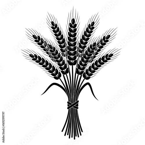 Vector art of a bundle of wheat ears, tied together with a string, representing harvest and abundance, in black and white