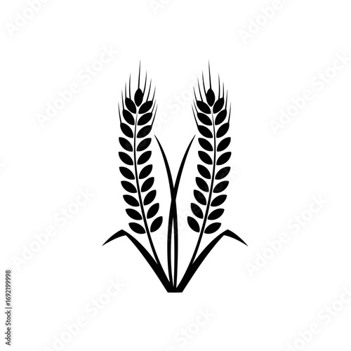 Vector art of two wheat ears, a symbol of harvest, fertility, and abundance, ideal for agriculture and food industry designs