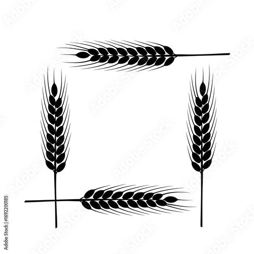Vector art of square frame made of wheat ears decorative element for design of packaging, advertising, postcards, invitations