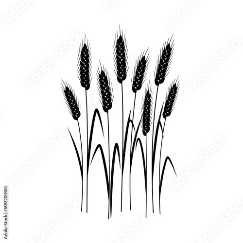 Illustration of wheat stalks, representing abundance, growth, and the beauty of nature, suitable for various designs