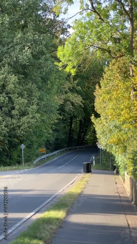 road in autumn