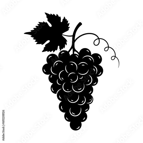 Vector art of detailed black grape silhouette, showcasing a lush cluster with leaf and tendrils, perfect for wine labels