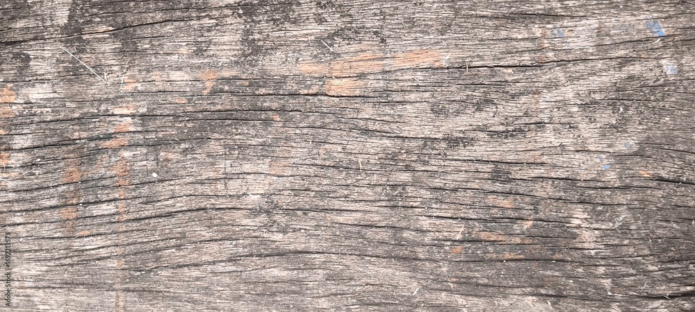 Fototapeta premium Natural old wood texture for the background