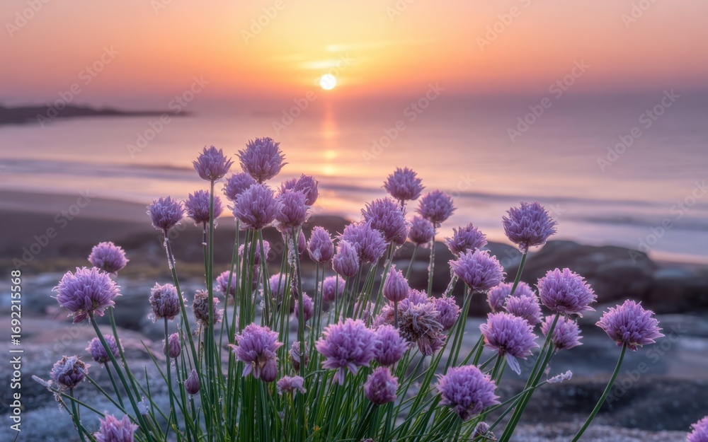 Fototapeta premium Coastal Blooms at Dawn: Delicate purple blossoms dance in the gentle breeze along the coastline, framed by a tranquil sunrise reflecting on the calm sea. A picture of nature's poetry