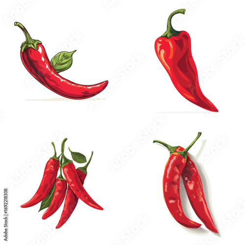 Vector art of four red chili pepper illustrations, different angles