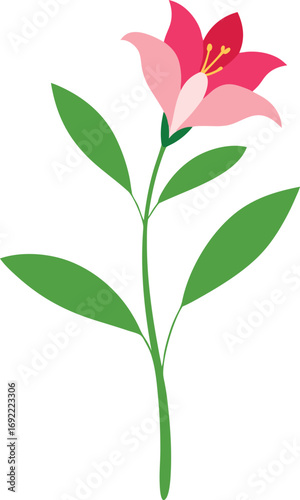 Alstroemeria sprig botanical flower element drawn in detailed outline Vector illustration