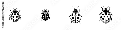 Simple black and white ladybug icon set with four different graphic designs, isolated insect symbols for logos or nature themes