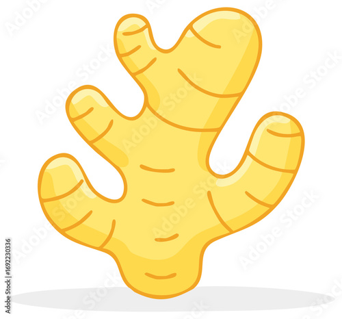 Illustration of a yellow ginger root with organic shape and smooth texture