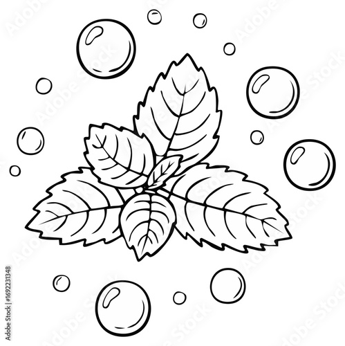 Fresh Mint Leaves and Sparkling Bubbles Line Art Drawing for Refreshing Concepts