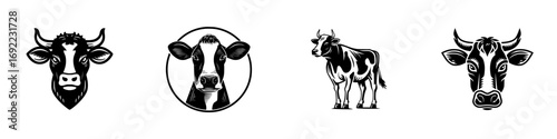 Set of four black and white cow head and full body logos for dairy farm or beef industry branding isolated on white background