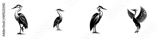 Set of four stylized heron silhouettes in various poses, elegant black and white wading bird icons in a graphic woodcut style