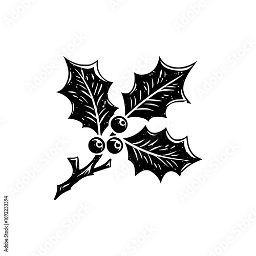 Black and white holly sprig with berries in a vintage woodcut style for Christmas and winter holiday decoration