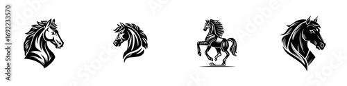 Set of four black horse head and full body logos for emblems or icons, stylized stallion mascot design isolated on white background