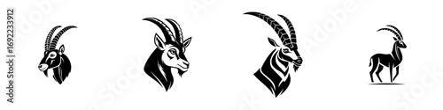 Set of black and white ibex logos and icons with mountain goat head portraits and a full body silhouette