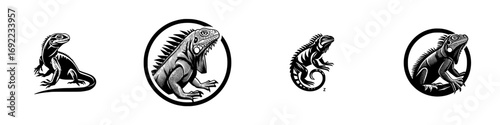 Set of black and white iguana logos in a graphic woodcut style, collection of reptile lizard icons and emblems isolated on a white background