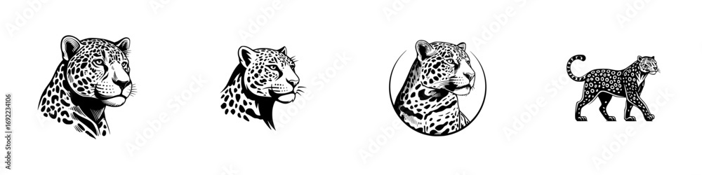 Obraz premium Collection of black and white jaguar head portraits and full body silhouette icons for logo or emblem design in a graphic style