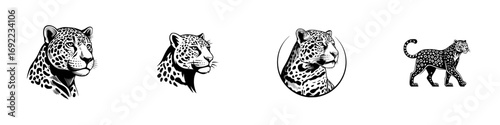 Collection of black and white jaguar head portraits and full body silhouette icons for logo or emblem design in a graphic style