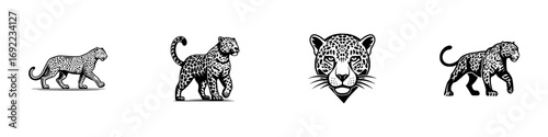 Black and white graphic icon set of a leopard in various poses including walking, standing, and a frontal head portrait for a mascot or logo design