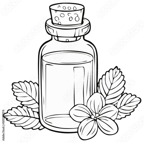 Line art illustration of a corked glass bottle containing liquid with delicate flower and leaves, natural remedy concept