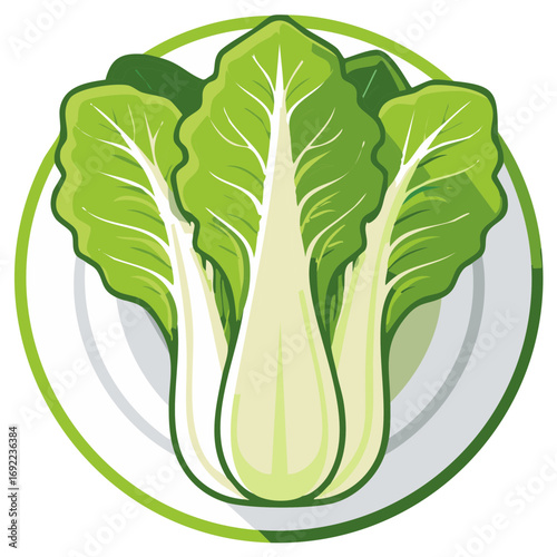 Vibrant fresh green bok choy illustration perfect for healthy cooking and organic diet concepts