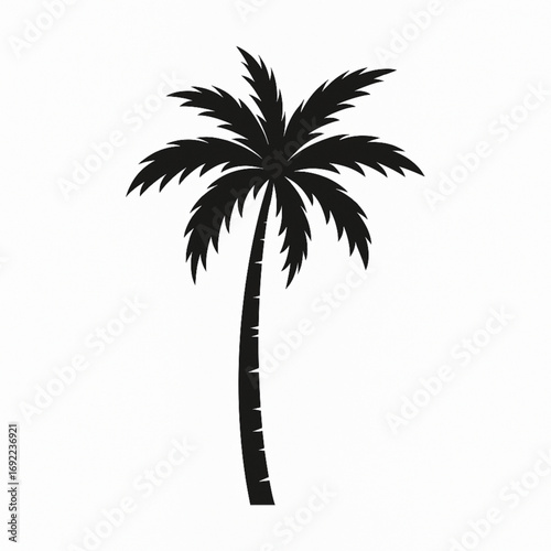Minimalist Palm Tree Silhouette – Tropical Botanical Vector for Branding & Decor