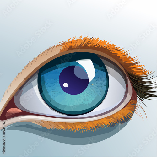 Close Up Detailed Blue Eye