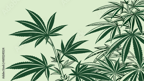 Cannabis Leaf Pattern Green Plant Illustration Botanical Design for Textile Wallpaper and Packaging.