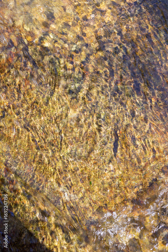 Fotografie Shallow water from a small creek flowing over rocks on the river bed