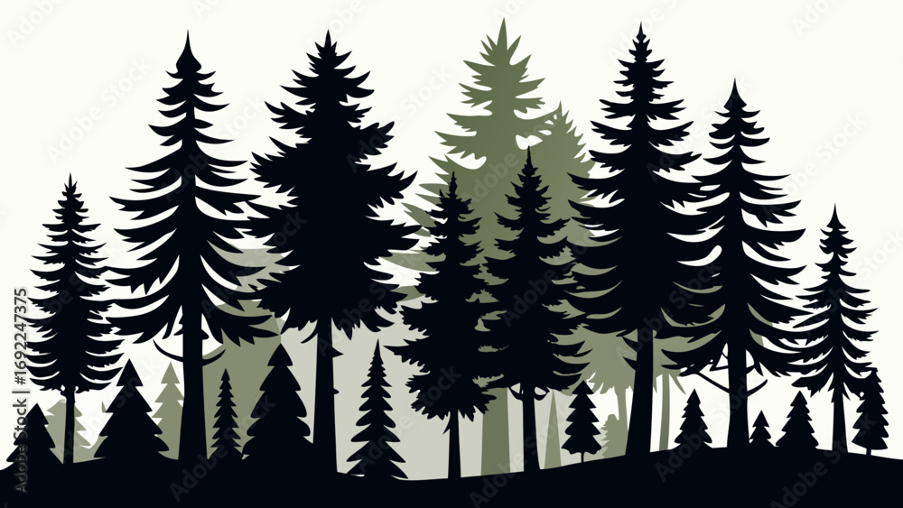 Obraz premium Dark silhouette of evergreen pine trees in a forest against a light background