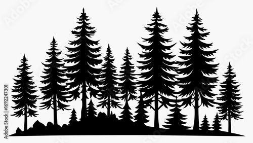 Silhouette of a dense forest of pine trees and evergreens against a white background