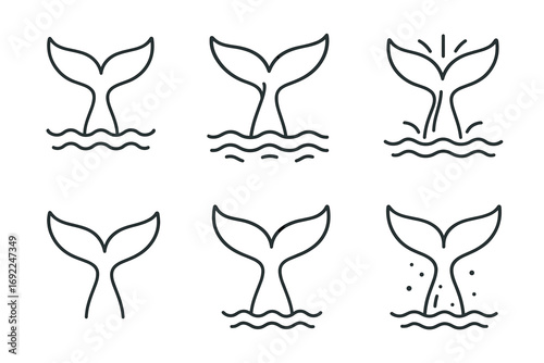 Set of minimalist whale tail icons in different styles