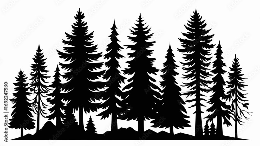Obraz premium Black silhouette of a dense forest of pine trees against a white background