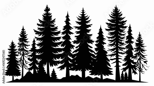 Black silhouette of a dense forest of pine trees against a white background