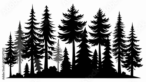 Silhouette of a dense evergreen forest with varied tree heights and textures against a white background