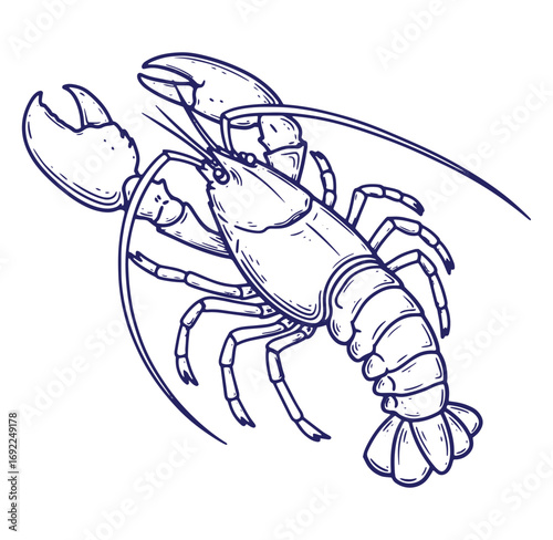 Detailed hand drawn vector illustration of a crawfish or lobster isolated on white