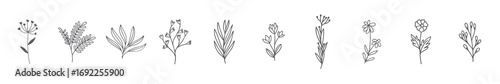 Icon set about flowers and leaves. Collection flat icons about flowers. Icon set of flower, Symbol flowers collection in transparent background. Plants icon set, vector illustration
