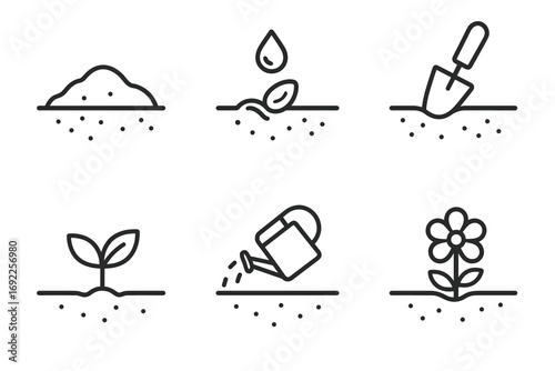 Simple icons illustrating growing plant stages from seed to flower