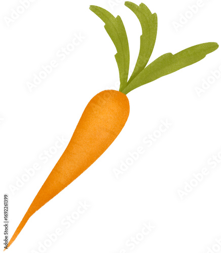Carrot 