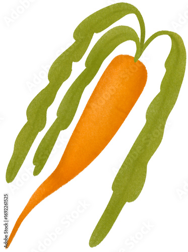 Carrot 