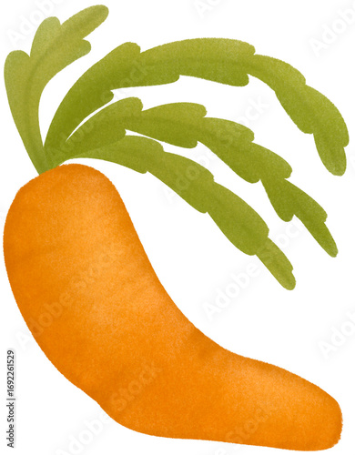 Carrot 