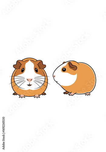Cute cartoon guinea pig illustration facing forward and sideways