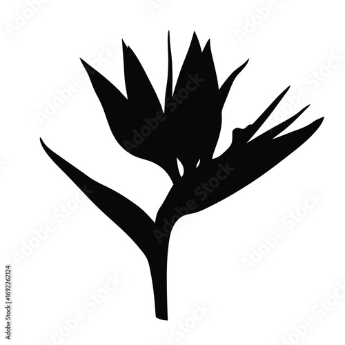 Silhouette of bird of paradise flower vector illustration tropical exotic plant design element for print and web