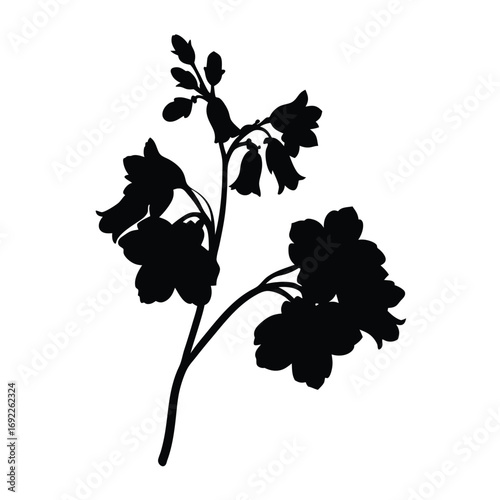 Download black silhouette of blooming bellflower flower vector illustration for design needs