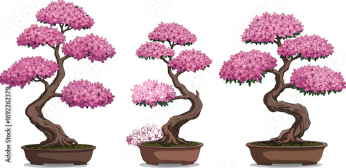 Pink flowering bonsai tree collection, elegant miniature tree illustration, Japanese garden plant art, floral bonsai clipart, traditional zen decoration