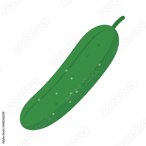 Fresh green cucumber vegetable illustration isolated on white background.